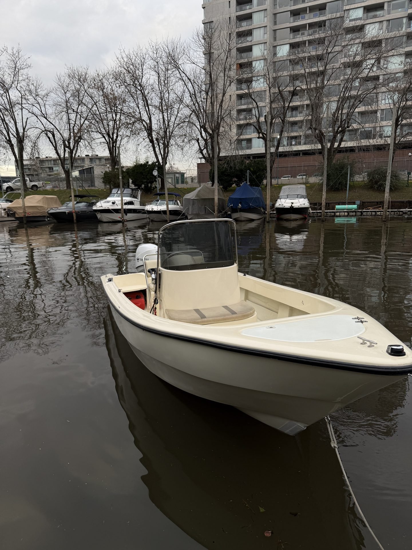 Bermuda Safari 550